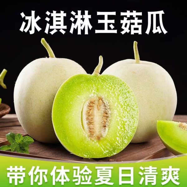 05ea995fab1b7eb3ce588b266c0014e3