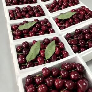 Meizao Cherry Orchard: Fresh Homegrown Cherries