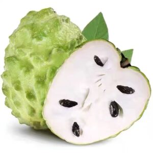 Молочный ананас, заварной крем, кожура цветов черимоя, экологический очень крупный фрукт, фрукт головы Будды, сладкий фрукт, тонкий фрукт1,5 кг веса