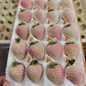 Сливочный крем "Белоснежка" с клубникой