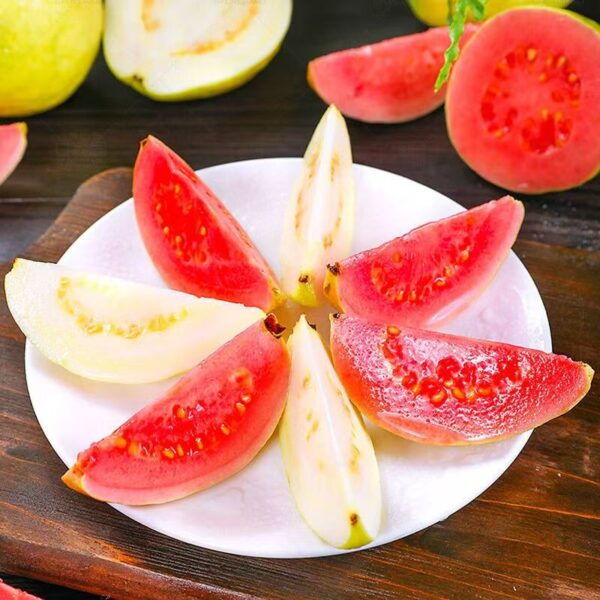 a4a1d8e322461b48e36e76dd8302cc39