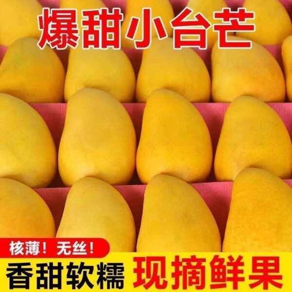 5b8e7a51e71c9311cea94e30945b2ee3