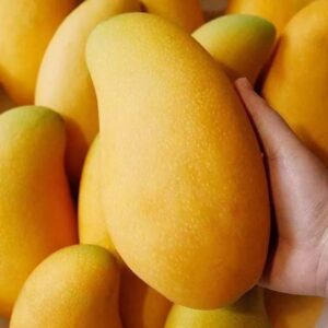 Свежий манго из Цзиньхуана