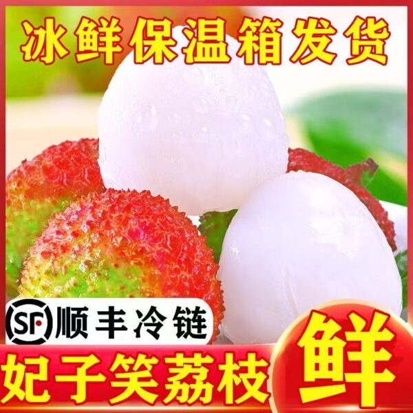b70027e8bea303eb70b6bb9683d0ff75
