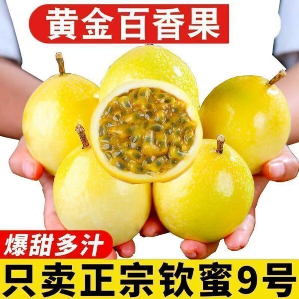 df8d19894e539205f140d7e01d62ecee